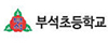 부석초