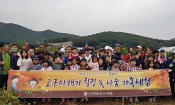 힐링나눔 가족체험 - 고구마캐기