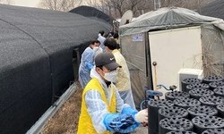 과천동 주거용 비닐하우스 밀집 지역에 연탄 후원