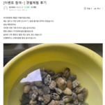 25년 갯벌체험 후기